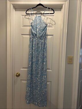 Zini - Light Blue Paisley Maxi Dress